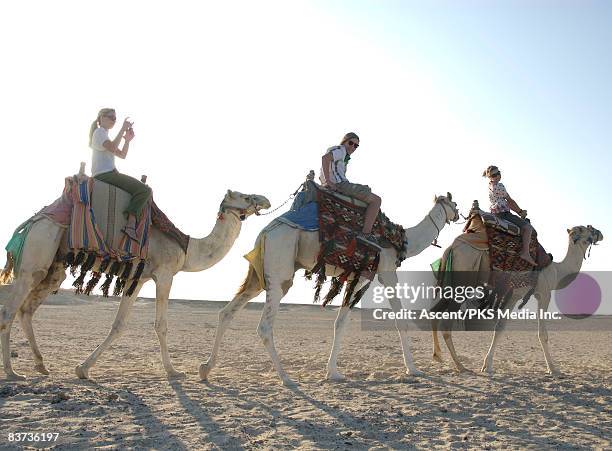 three teenagers ride camels through desert - riding camel stock pictures, royalty-free photos & images