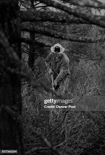 Fireman Stamps Out Last Of Forest Blaze Fire fighters from Inter-Canyon, Elk Creek and Indian Hills departments fought blaze two miles east of...