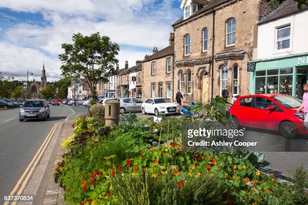 a flower bed on the main street in barnard castle, county durham, uk. - barnard castle 個照片及圖片檔