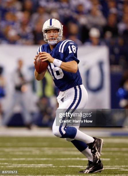 Peyton Manning of the Indianapolis Colts prepares to pass against the Houston Texans during the game at Lucas Oil Stadium on November 17, 2008 in...