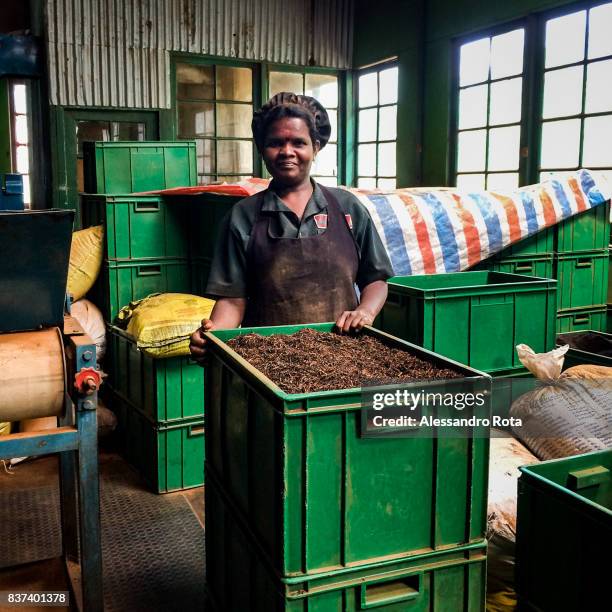 Women workers at Glenloch tea factory in srilanka