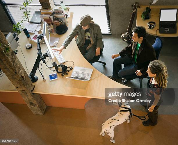 creatives at a design firm - department of interior holds a take your dog to work day stock pictures, royalty-free photos & images