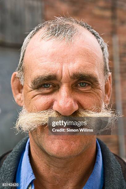 portrait of man with mustache - mustache stock pictures, royalty-free photos & images