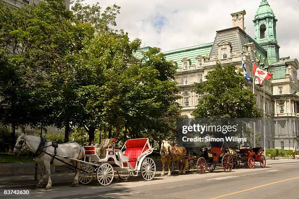 horse drawn carriages in front of city hall - wagen getrokken door een dier stockfoto's en -beelden