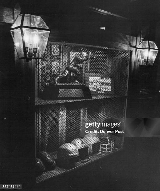 Framed by glowing lamps of gold are the Heisman trophy awarded Doak Walker of football fame and a collection of 100 years of football helmet...