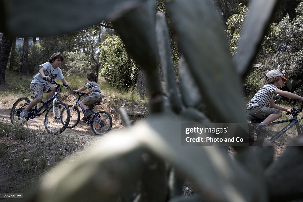 Boys ride bikes on trail