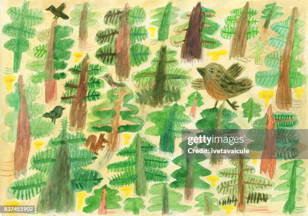 mixed media painting of woods,birds and squirrel - oyster mushroom watercolor stock illustrations
