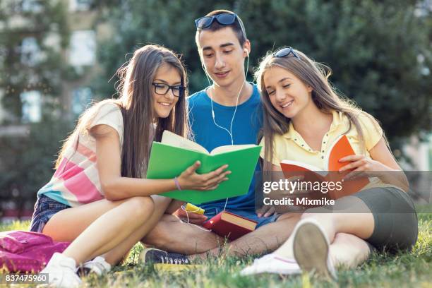 studying in the park - summer school stock pictures, royalty-free photos & images