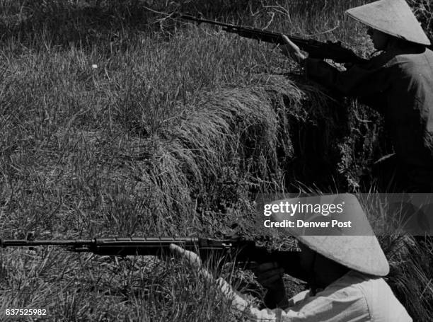 Two "Viet Cong" who sneaked up wall of a gully poke their rifles over rim and prepare to fire. They're Marine Reservists Robert Head, in white, and...