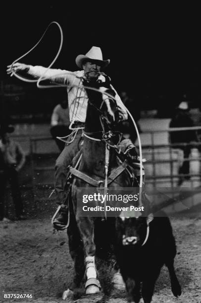 Calving Head Ropes 22 Calfs Head Stock Photos, High-Res Pictures, and Images - Getty Images