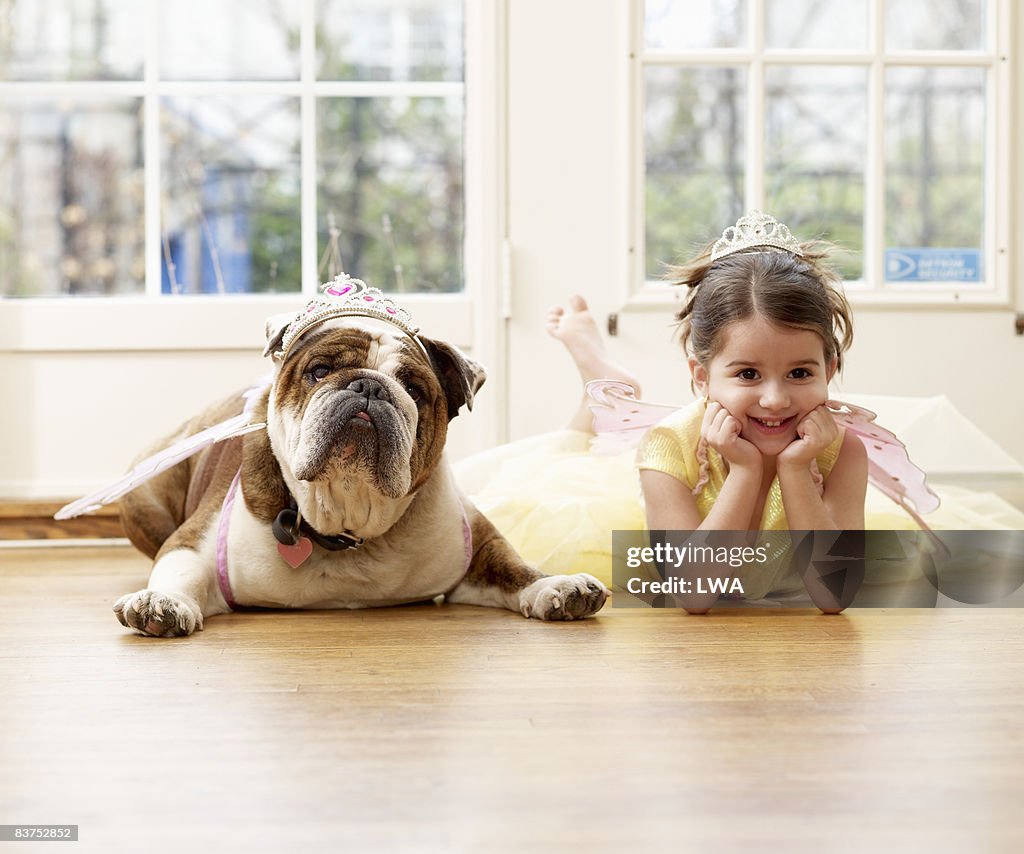Girl and British Bulldog Playing Dressup