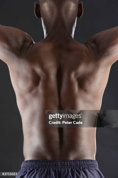 Male Back Texture Male Back Skin Photos and Premium High Res Pictures - Getty Images