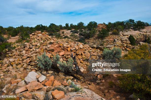 North America, USA, Utah, Cedar Mesa, Cave Tower Anasazi Ruins.