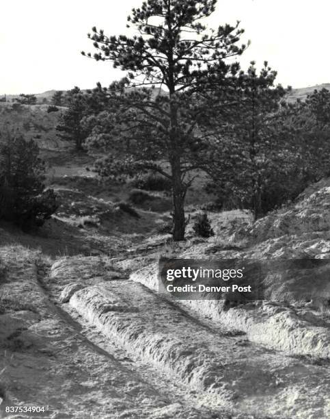 Just 100 years ago this month traffic on the gold rush trail of 1849 to the booming west coast reached its peak. Streams of covered wagons crawled...