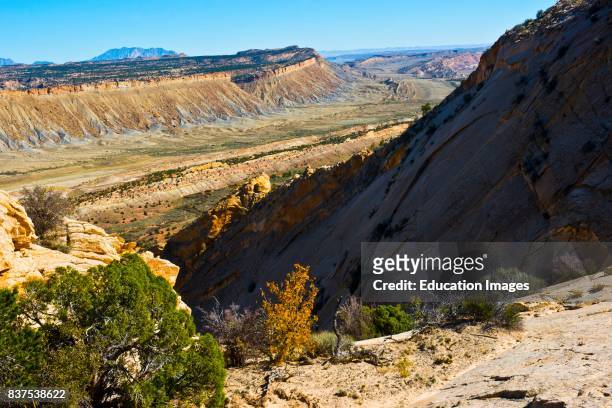 North America, USA, Utah, Fruita, Capitol Reef National Park, Water pocket Fold from Strike Valley Overlook Looking South.