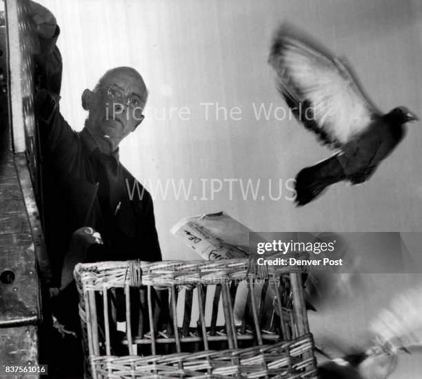 Van Riper Photos and Premium High Res Pictures - Getty Images