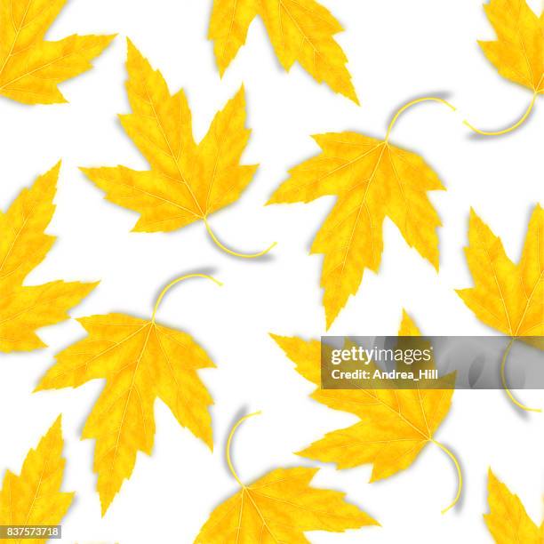 maple leaf seamless vector pattern for autumn - maple leaf shadow stock illustrations