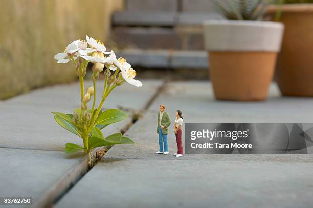 miniature man and woman looking at flower - statuetta foto e immagini stock