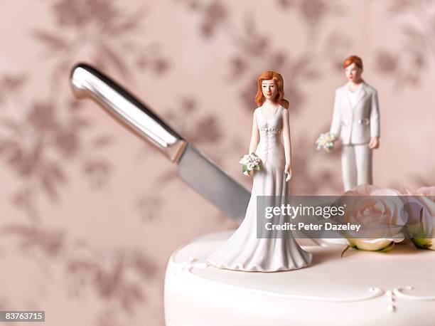 civil partnership lesbian divorce cake - wedding cake figurine imagens e fotografias de stock