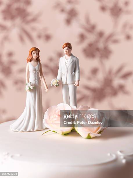 lesbian wedding cake figurines - adorno floral - fotografias e filmes do acervo