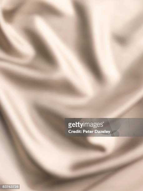 oyster coloured silk background - silk 個照片及圖片檔