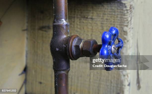 vertical pipe and control valve - anatomical valve stock pictures, royalty-free photos & images