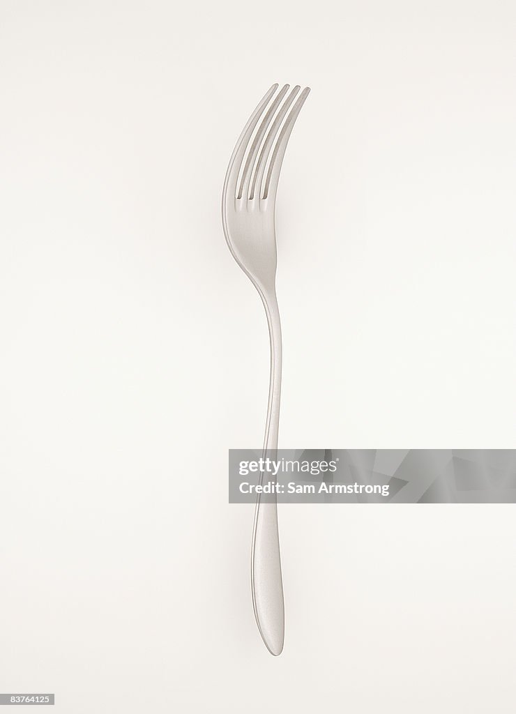 Classic fork
