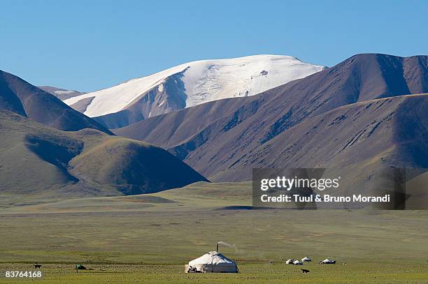 mongolia. kazakh yurt in altai mountain. - bayan olgiy stockfoto's en -beelden