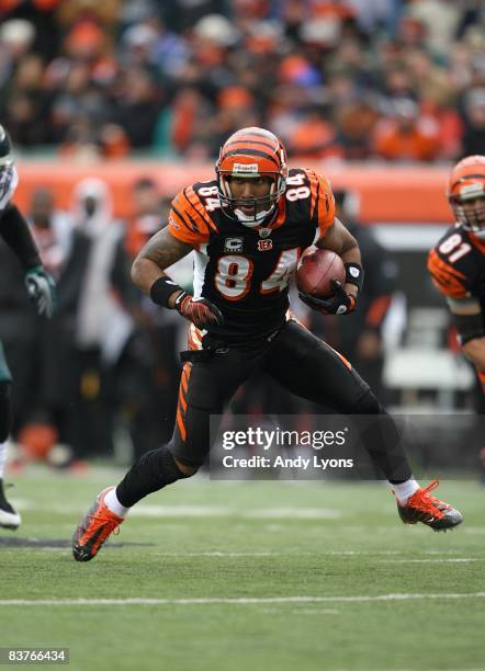 Houshmandzadeh of the Cincinnati Bengals runs with the ball during the NFL game against the Philadelphia Eagles at Paul Brown Stadium on November 16,...