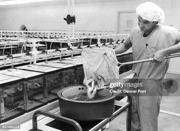Roger Rouch Fishery Biologist Photos and Premium High Res Pictures - Getty Images