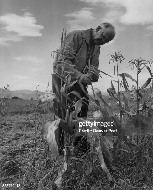 Collopy Fued Collopy Photos and Premium High Res Pictures - Getty Images