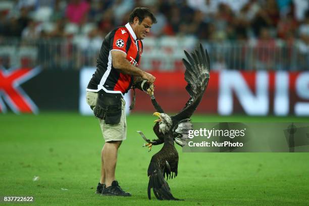 The eagle mascotte of Nice club with the trainer during the UEFA Champions League Qualifying Play-Offs round, second leg match, between OGC Nice and...