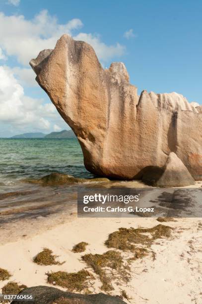 White Rock Island Photos and Premium High Res Pictures - Getty Images