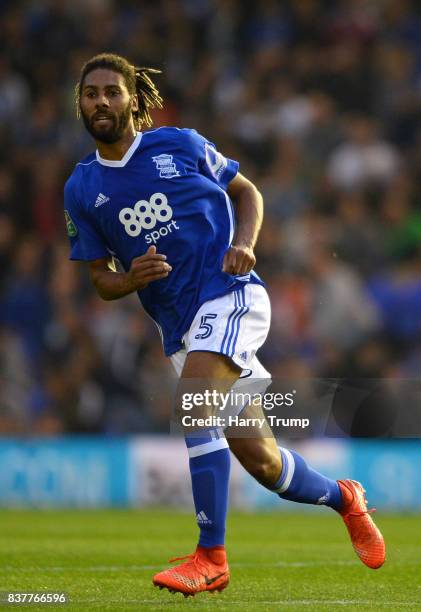 Ryan Shotton of Birmingham City during the Carabao Cup Second Round match between Birmingham City and AFC Bournemouth at St Andrews Stadium on August...