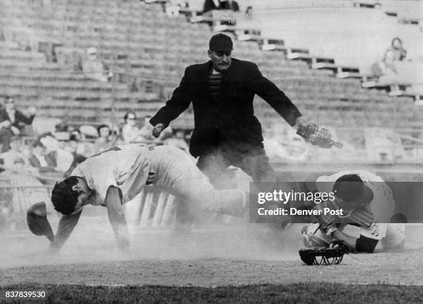 Fred Rico Baseball 1971 Denver Bears Photos and Premium High Res Pictures - Getty Images