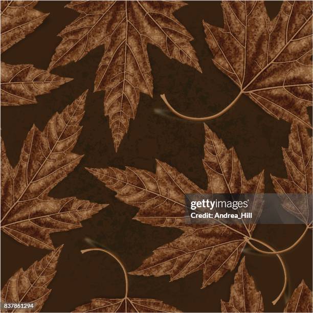 maple leaf seamless vector pattern for autumn - leaf shadow background stock illustrations