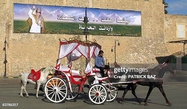 Libyan drives his horse drawn cart past a banner hailing Libya's leader Moamer Kadhafi on a wall in Tripoli's Green Square on November 21, 2008. AFP...