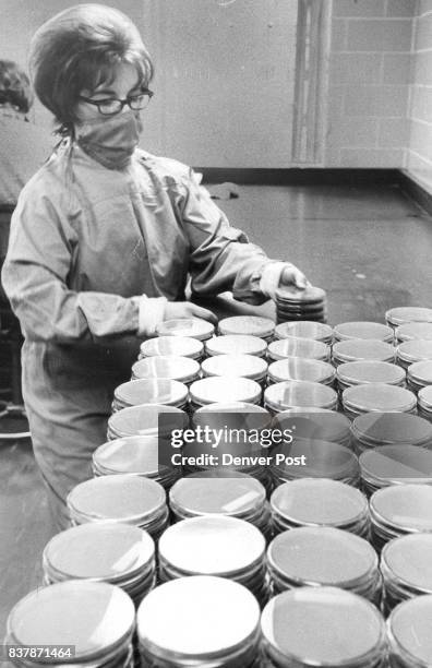 Lab Asst. Mrs. Kathleen Kelly Mrs. Kathleen Kelly, a laboratory assistant, stocks petri dishes after they've been filled with culture media in which...