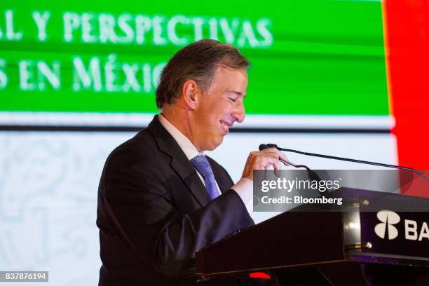 Jose Antonio Meade, Mexico's finance minister, smiles during a reception following the Banorte Strategy Annual forum in Mexico City, Mexico, on...