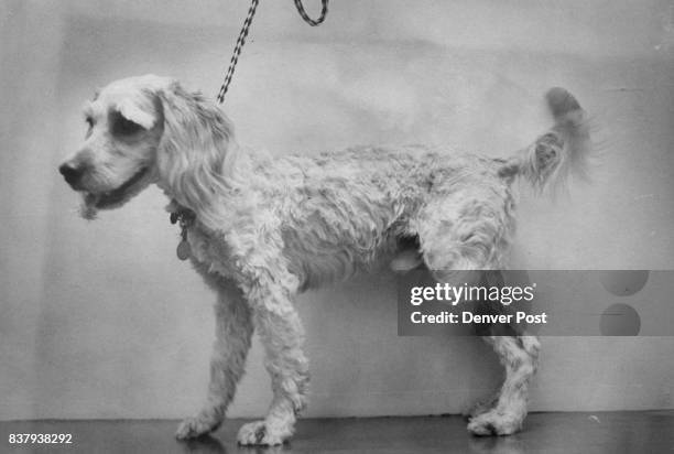 Buff Colored Photos and Premium High Res Pictures - Getty Images