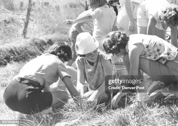 Girl Scouts Make Sure They've Got Sumac Seeding At Right Depth Katie Blaine , daughter of Mr. And Mrs. W. Howard Blaine, 2579 S. Dahlic St., uses...