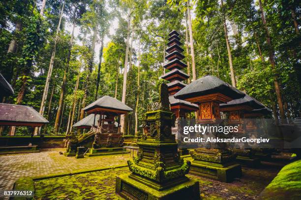 santuario della foresta delle scimmie sacre a ubud, bali, indonesia - pagoda foto e immagini stock