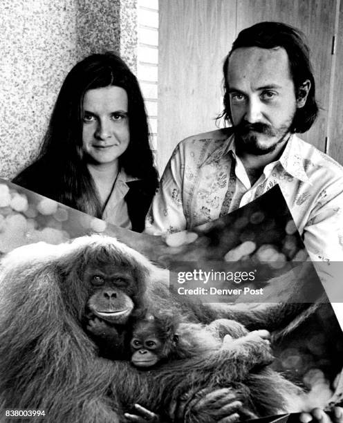 Orangutan-Study Team Birute Galdikas and Rod Brindamour The anthropologist and her photographer-husband bought poster on visit to Cheyenne Mountain...
