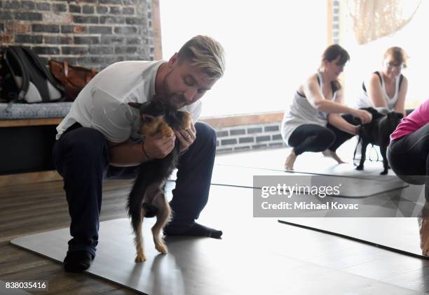 Lance Bass with his dog Dale and guests at Natural Balance Pet Foods announce new formula with Lance Bass and Downward Dogs - Literally - at The DEN...