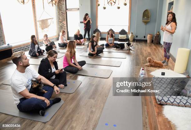 Lance Bass with his dog Dale and guests at Natural Balance Pet Foods announce new formula with Lance Bass and Downward Dogs - Literally - at The DEN...