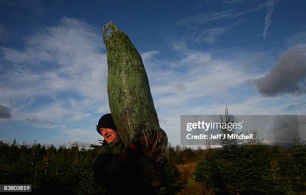 Buchlyvie Photos and Premium High Res Pictures Getty Images