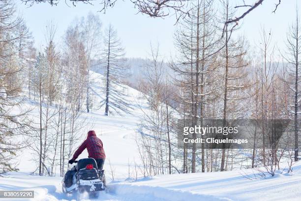 recreational snowmobile ride in woods - cliqueimages stock-fotos und bilder