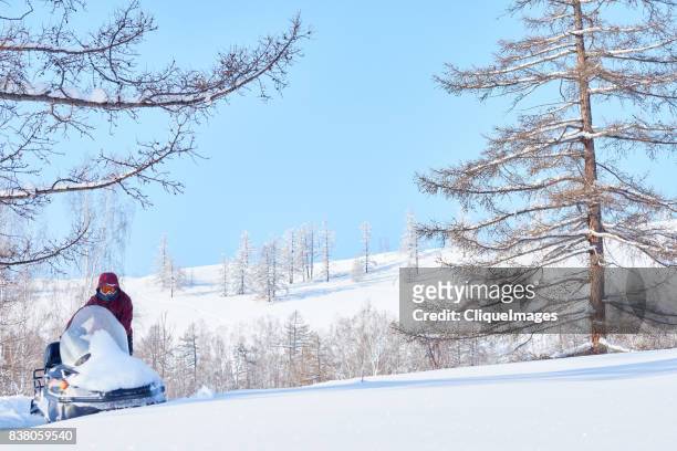 perfect day for snowmobiling - cliqueimages stock-fotos und bilder
