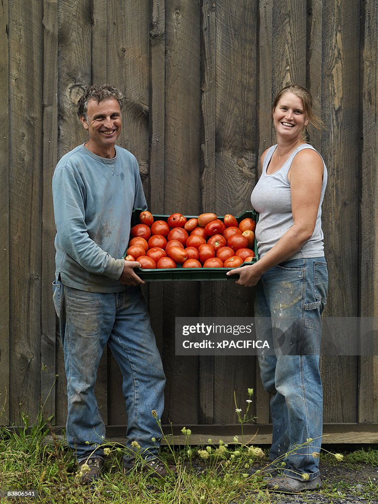 Portrait of two farmers holding a tray of tomatoes