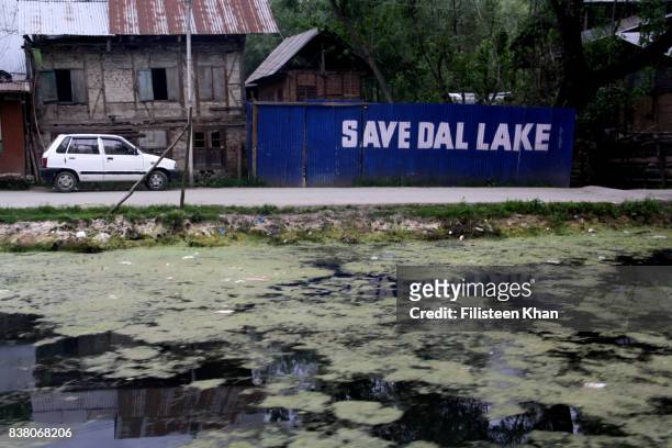 dal lake polution, srinagar, kashmir, india - dal lake stock pictures, royalty-free photos & images